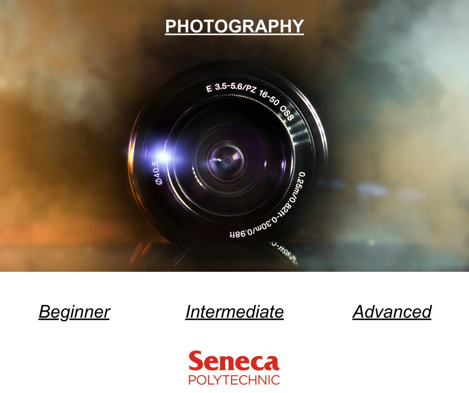 Discover the power of photography for self-expression. Capture cherished memories and deepen your connection with the world. Our courses help you view life through a fresh perspective. Explore our summer offerings for every skill level -> bit.ly/4c9SGvi 📸✨