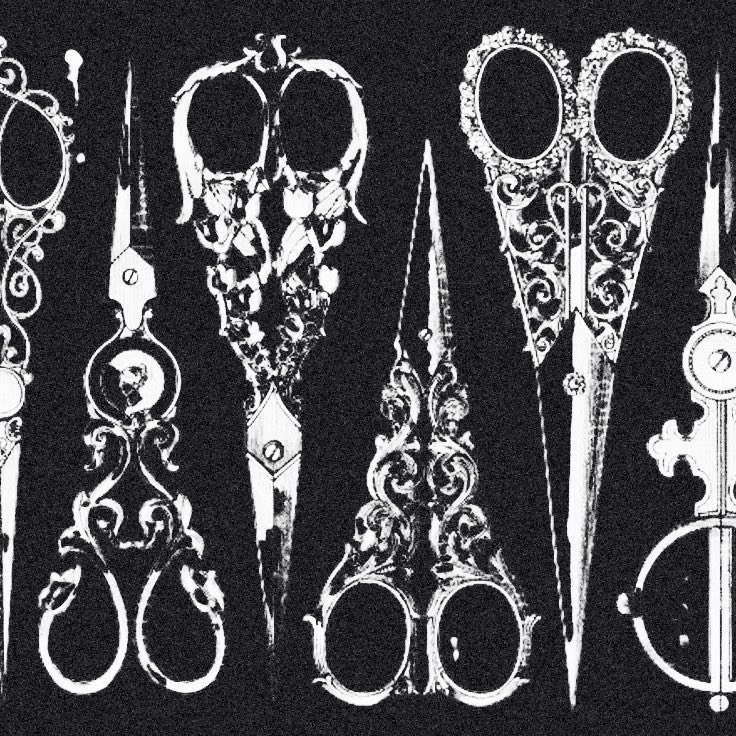 bedizendeath's tweet image. 