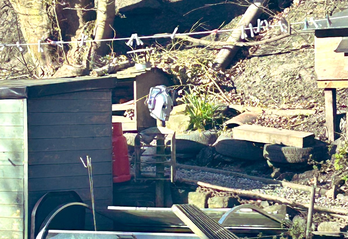 Beheaded #DrWho #Cyberman, on a pole, on the canal bank, in Hebden Bridge. Standard.