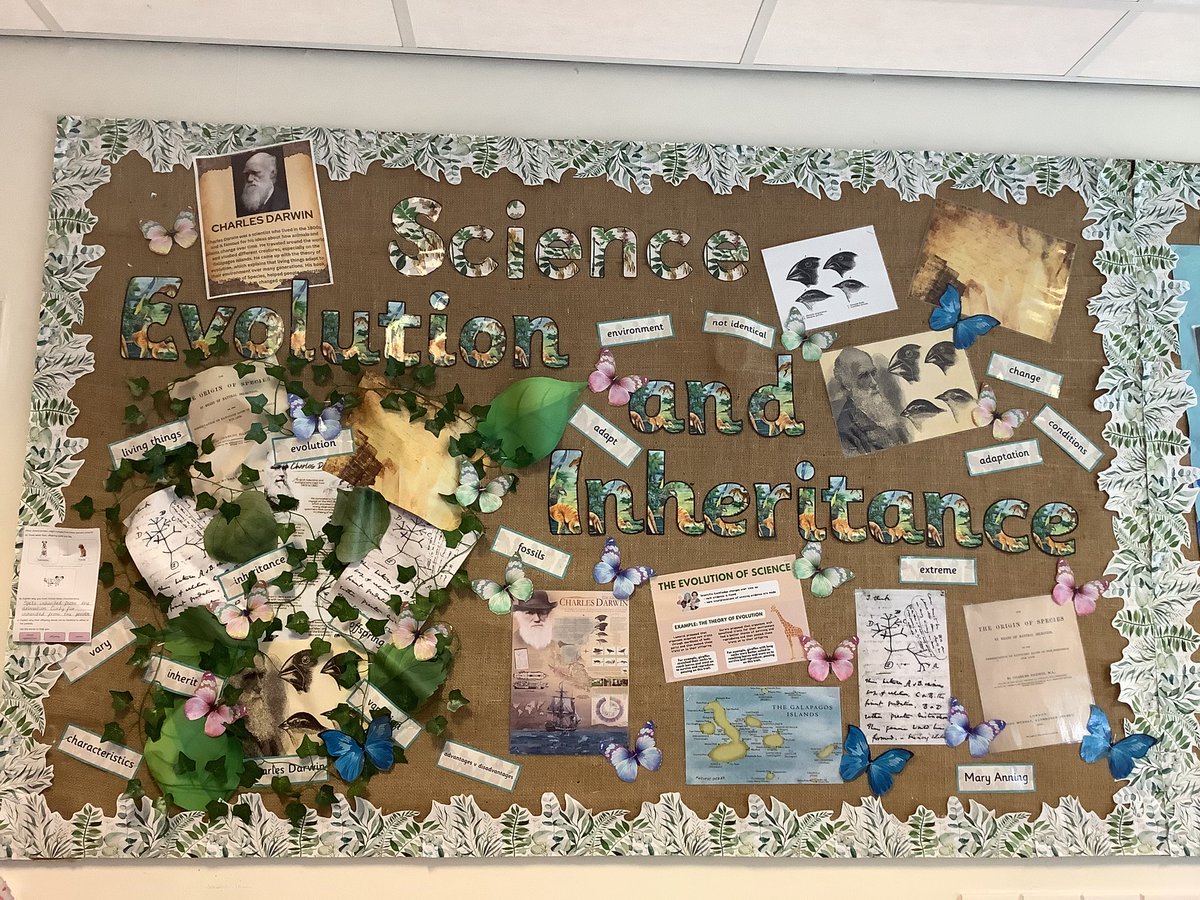 Our lovely Science display as we learn about evolution and inheritance! We can’t wait to put some pictures of our amazing work up this week! 🦎🕵️‍♂️🐵🐦‍⬛🤩🪴

#carrmillscience