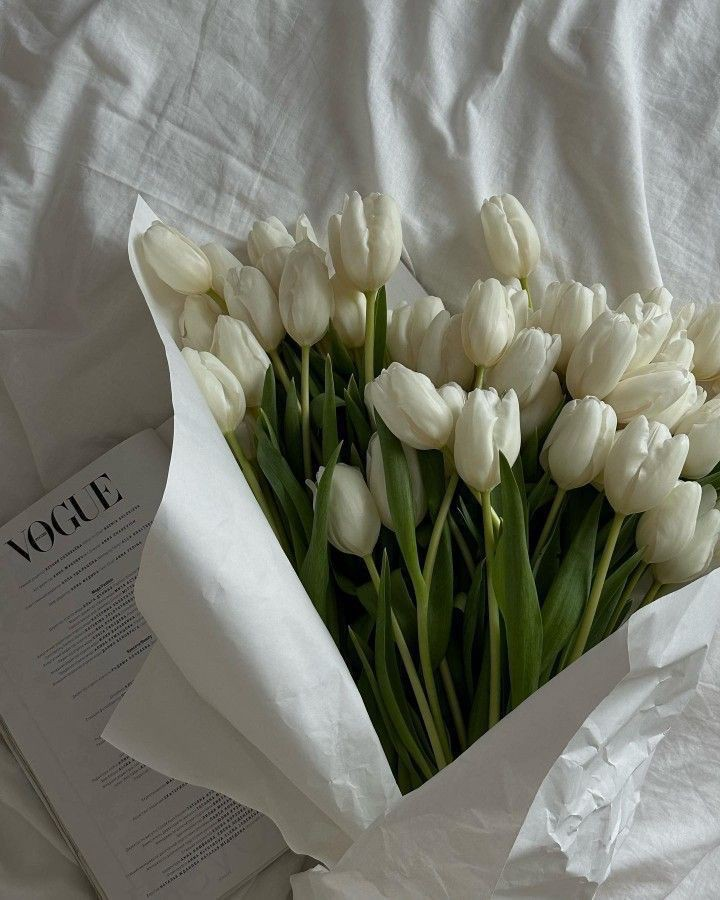 white tulips