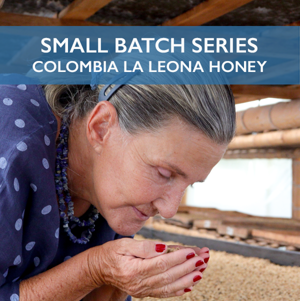 This Small Batch decaf from Luz Helena Salazar's La Leona farm is a true example of depth + flavor owed to thoughtful farming and processing, with notes of black tea, pomegranate, hibsiscus, and stone fruit.
swisswater.com/pages/colombia…