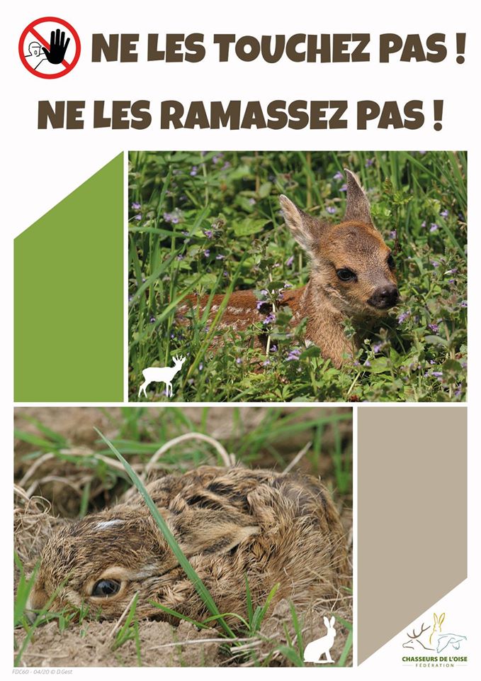 Police de la chasse tweet media