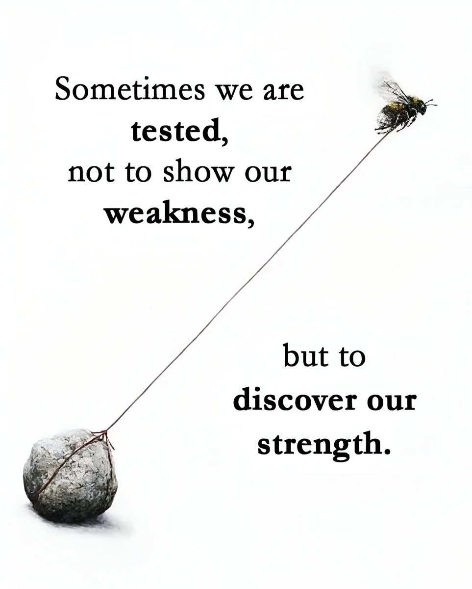 Mind_Essentials's tweet photo. https://t.co/h0Hx7QAALA