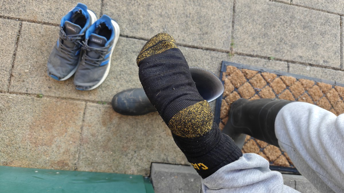 4 days on working in the garden 🧦soaked with sweat 🐽