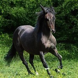 The article's ability to convey intricate ideas with clarity is truly remarkable. Thanks for being a constant source of inspiration, bro. Shane Knick