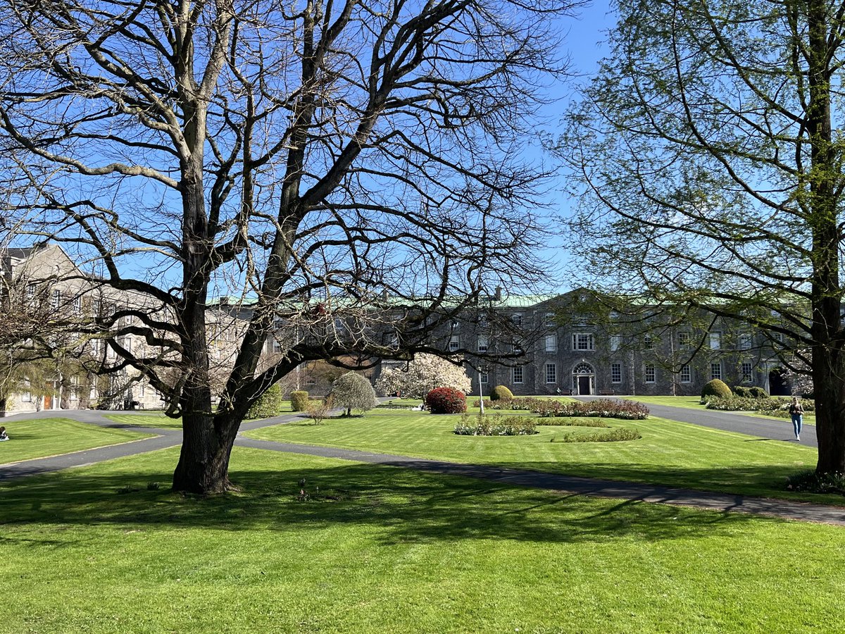 SalvadorRyan's tweet photo. An opportunity to come work with us as a Lecturer in Systematic Theology at @StPatsMaynooth
#theology #jobs #academicposts
https://t.co/rOO4d98LSL https://t.co/5sCwqdiqSE