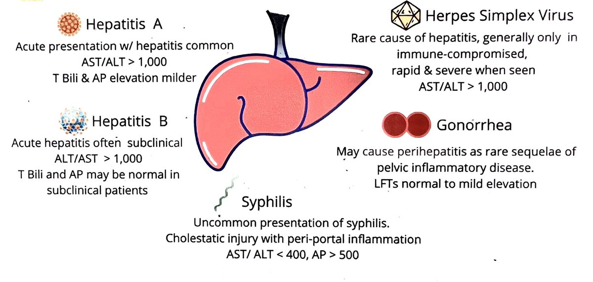 cardiac_crit's tweet photo. Pattern of liver injury in common infectious diseases. 

A must know for all heath care providers. 

Bookmark this key info to enhance patient care!

#CriticalCare #MedTwitter #FOAMed https://t.co/kJbb0V6M63