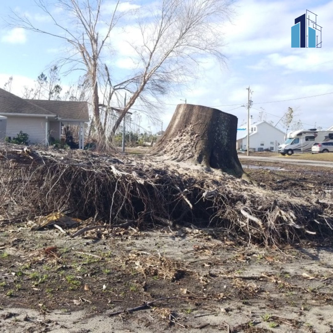 KgEngineering1's tweet image. Navigate the aftermath with confidence! We partner with insurance and legal pros to deliver fact-driven, unbiased investigations, transforming evidence into peace of mind. Trust us to guide you through the storm. 🌪🤝

#HurricaneDamage #ForensicEngineering #KGEngineering