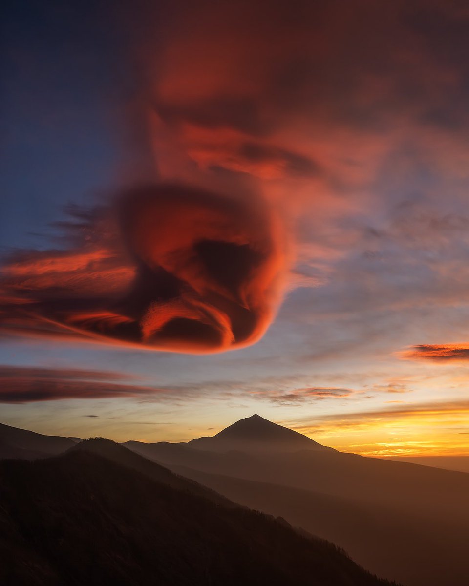 Imanol Zuaznabar tweet media