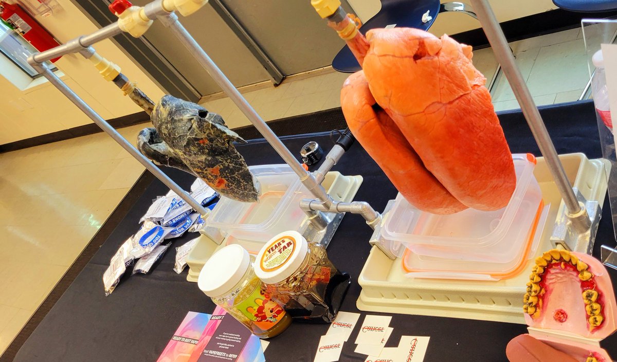 Luvelyo's tweet image. KIPP Journey Collegiate students are serious about eliminating cancer and being tobacco and vape free. Thanks, @kipptexas, for joining @MDAndersonNews for #KickTobaccoandVaping week. Together, we can #EndCancer.