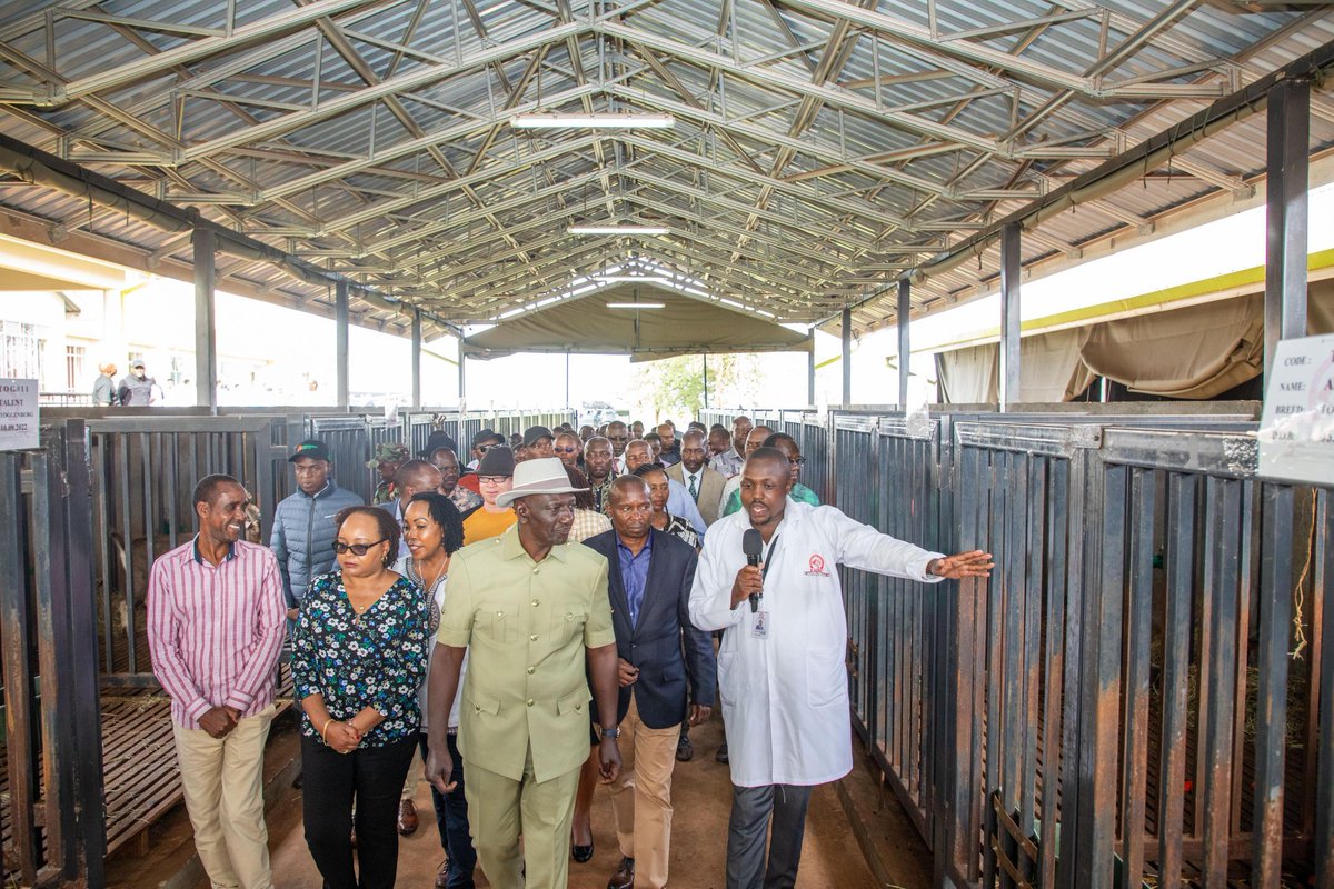 President Ruto has commissioned the Goat AI Centre at KAGRC, Ndomba, Kirinyaga, marking a major step in enhancing livestock genetics. The initiative aims to boost goat breeding, improve milk &amp; meat production, &amp; support farmers nationwide. #LivestockInnovation #KAGRC #Betakilimo