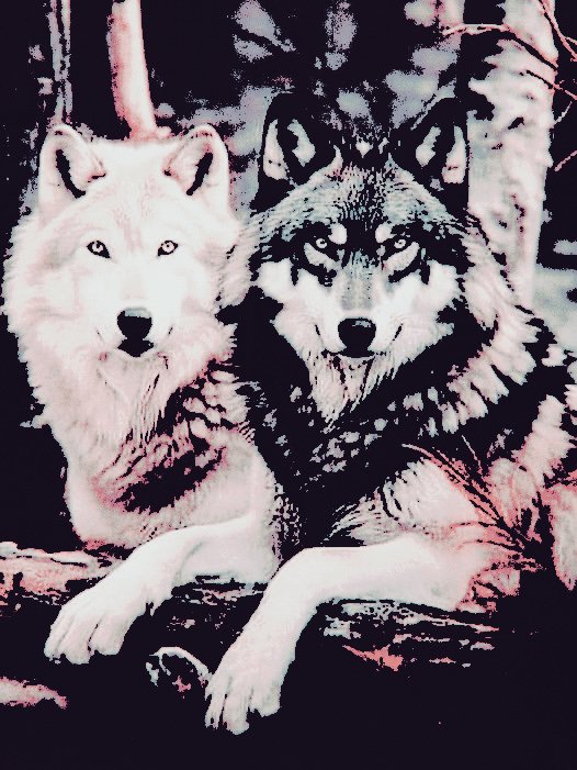 𓏲୭⠀⠀ ⠀ ⠀⠀   𓂃 ִֶָ ִֶָ ִֶָ𓂃⠀ ⠀⠀ ⠀ ⠀ ₓₒₓₒ
 ╰╮#𝓦𝑶𝑴𝑨𝑵𝓒𝑹𝑼𝑺𝑯𝓐𝑳𝑾𝑨𝒀𝑺𑁤᭄
    𔘓 ⠀⠀⠀  𝓢𝒉𝒆  ; ℳ𝑦 𝓜𝒐𝒐𝒏  ꨄ      🌻
⠀ ╰─▸  დ <a href="/ExuberantBeta/">𝐻𝒾𝓈 𝐵𝑒𝓉𝒶 𝒲𝑜𝓁𝒻 ☾ Parody</a>  დ  ╯