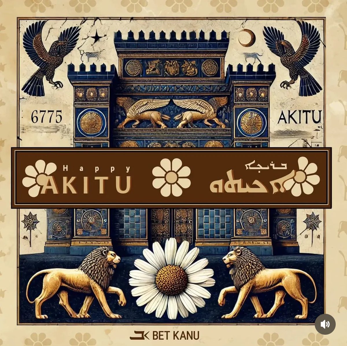 أكيتو بريخو