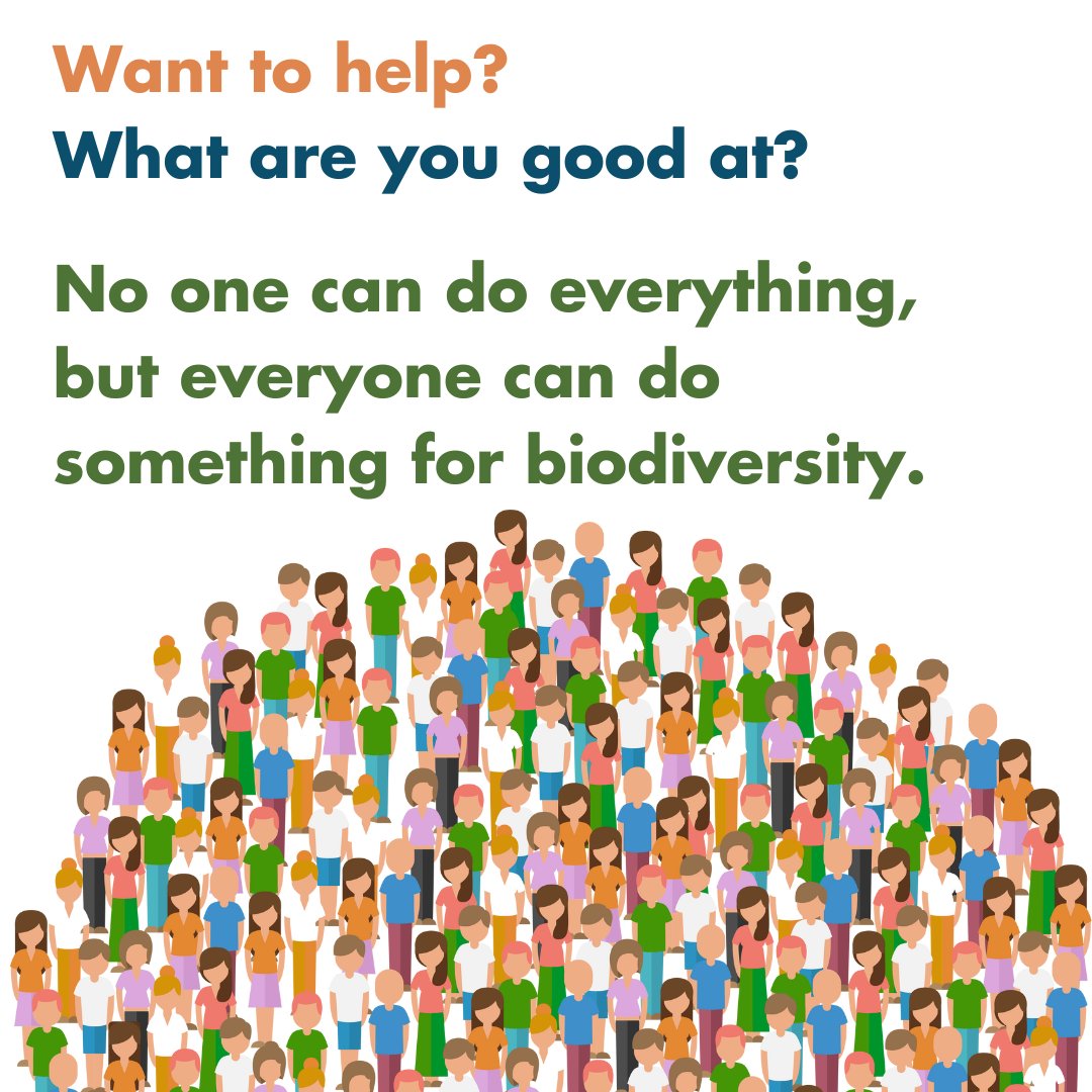 1️⃣ What is Citizen Science? 🧐 It’s science for everyone! 🌎🌱 Everyday, people like YOU can help scientists collect data about nature, weather, wildlife, and more. Stay tuned this month as we explore ways to get involved! #CitizenScience #ScienceForAll #citizensciencemonth
