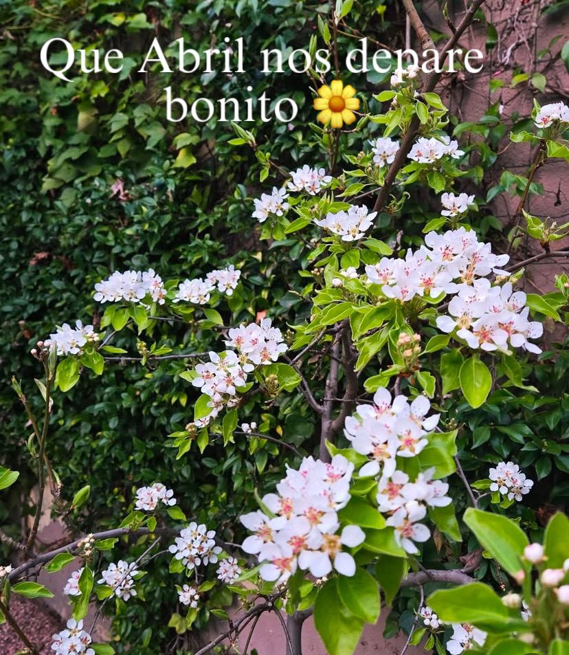 Hay personas que no dudan 
en ofrecerte el mundo aunque 
quizá lo tengan un poco roto.
Personas que te ayudan a salir del abismo cuando más lo necesitas 
sin esperar nada a cambio.
Hay gente que te da la mano
y te cambia la vida.
Te abraza.
Te cuida.
Te llena de primaveras…