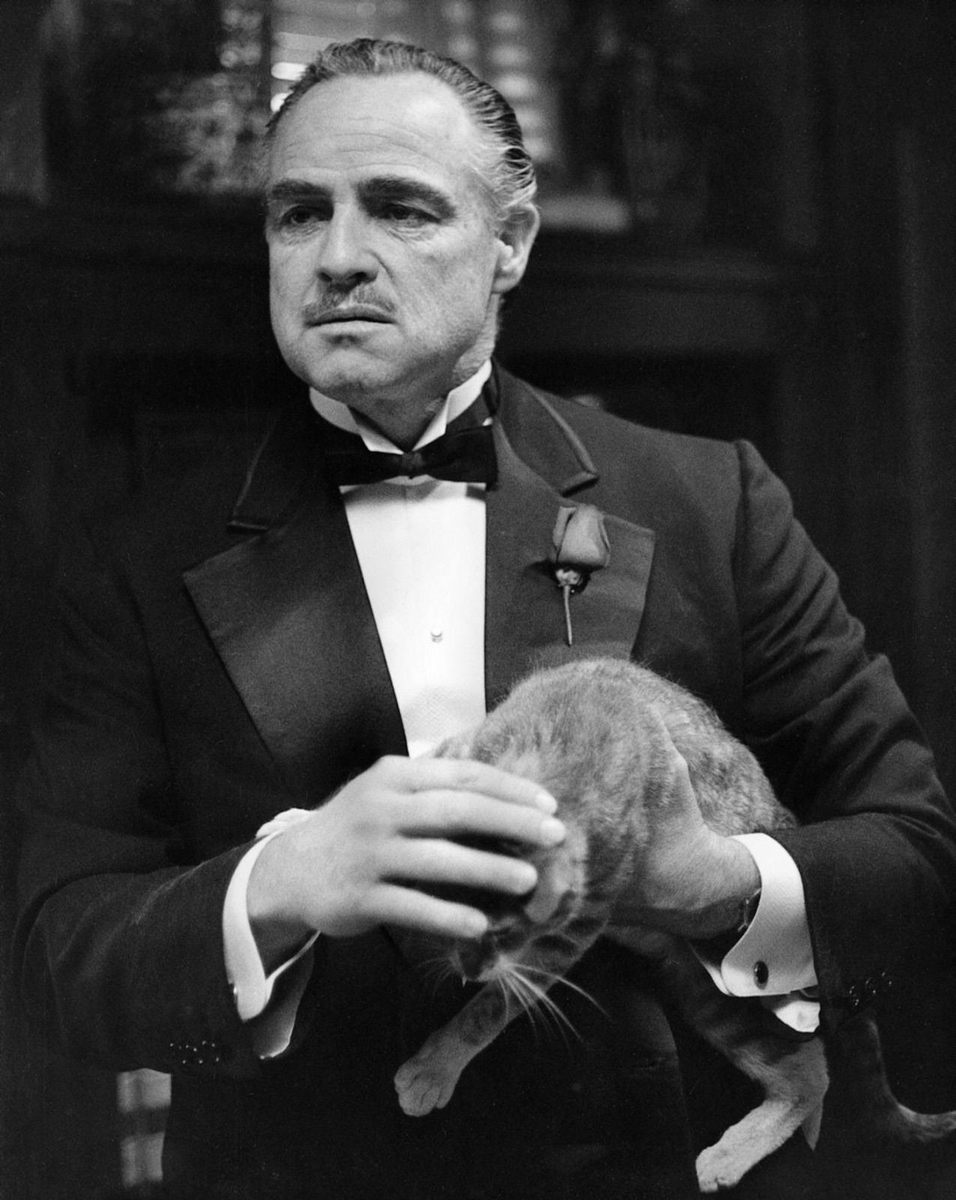 TheCinesthetic's tweet image. Happy Birthday to the great Marlon Brando!