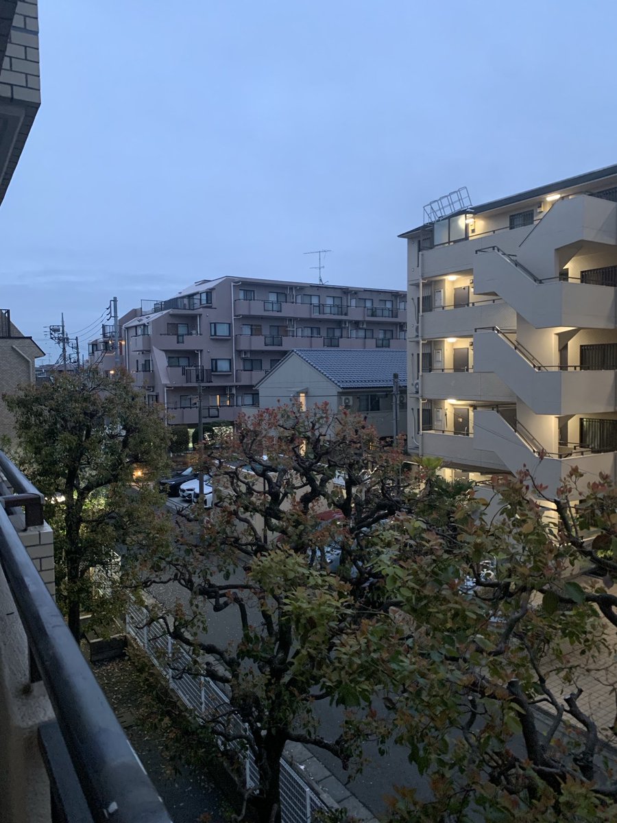 おはようございます。予報が出てこなかったので今日のお天気がわかりません。はてさて晴れるのかなぁ