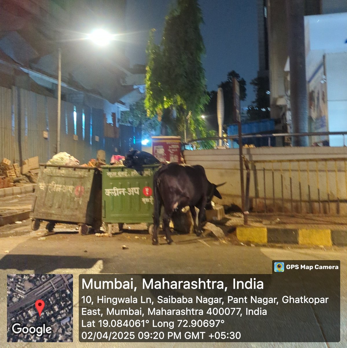 princejaininc's tweet image. .@mybmc A public dustbin behind @mybmcWardN Office is overflowing, and cows recently honored as Rajmata by @mieknathshinde govt are eating garbage on the roads.
This is a serious health &amp;amp; sanitation concern. Request immediate cleanup &amp;amp; replacement with covered bins.
#SaveCows
