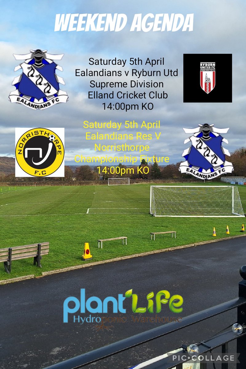 This weekend, the 1sts welcome <a href="/RyburnUtdFC/">Ryburn United FC</a> to Elland Community Sports Club, aiming to pick up another win to extend the lead at the top. The visitors are in good form and will, as always, provide a stern test.

The 2nds face <a href="/NorristhorpeFC1/">Norristhorpe FC</a> in their penultimate fixture ##UTE