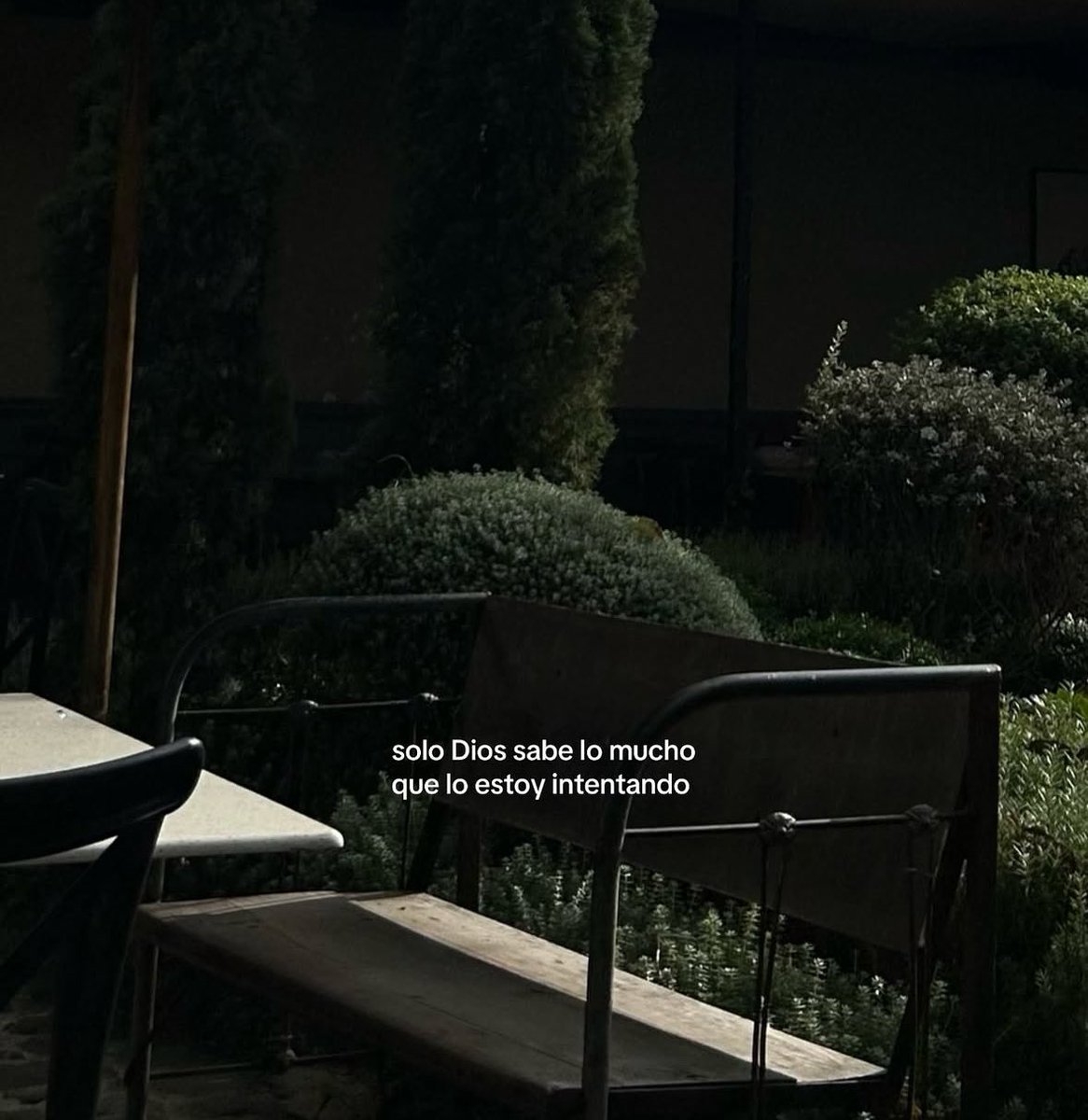 dilocondibujos_'s tweet image. 🥹❤️‍🩹