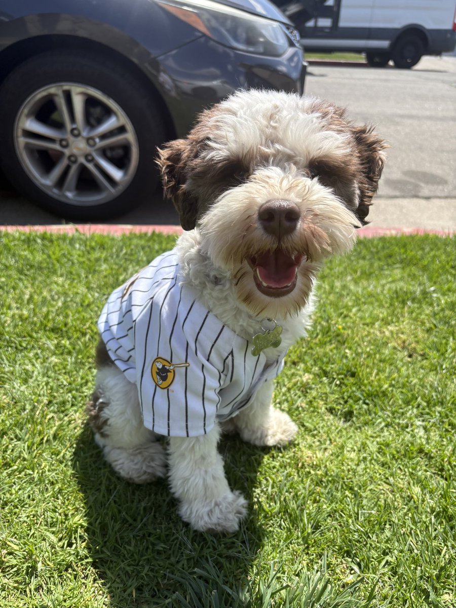 ryanwhiting_'s tweet photo. #padrespets https://t.co/Ta5wbORUpV