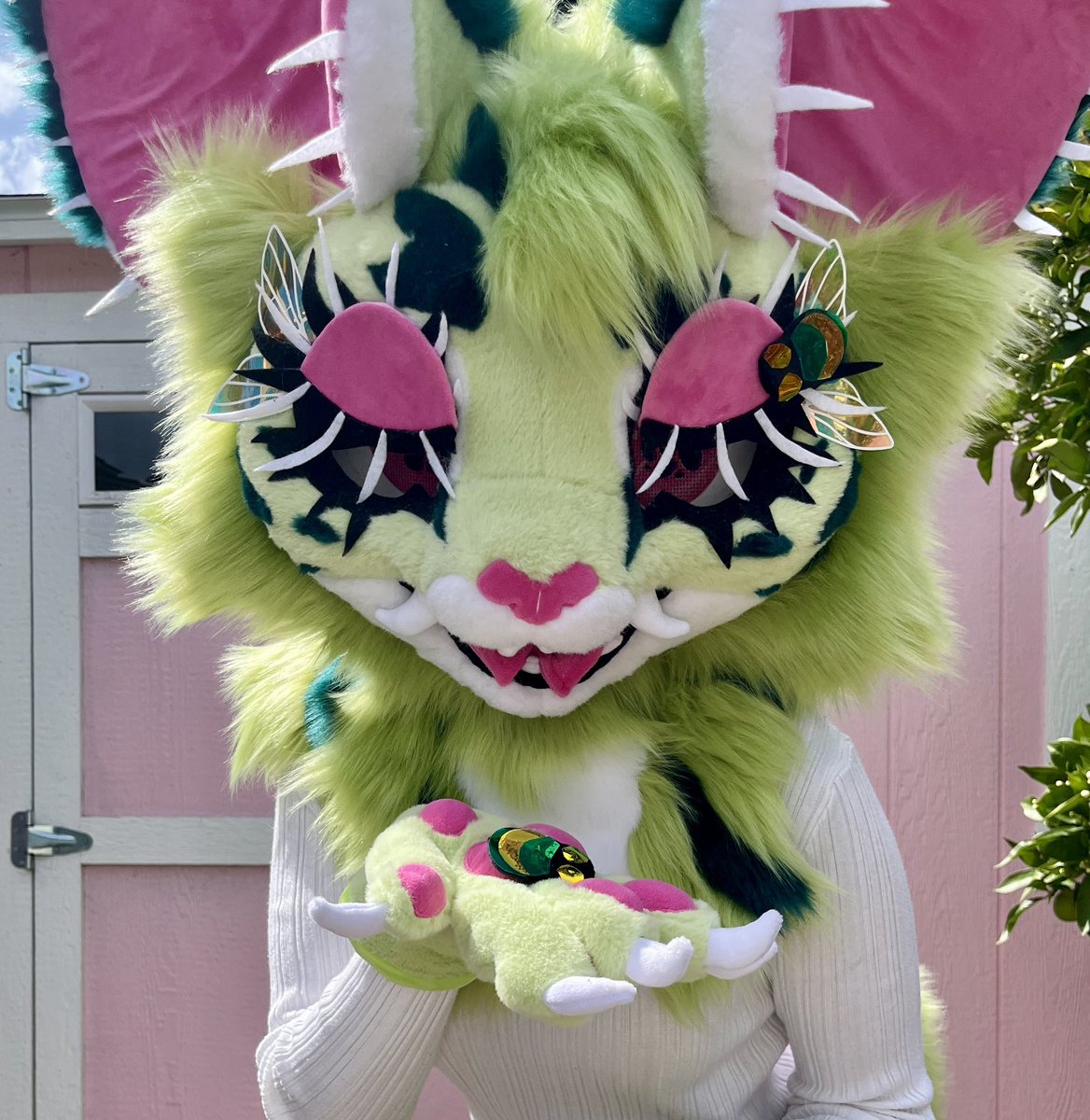 🌼Gold Flower🌼 tweet media