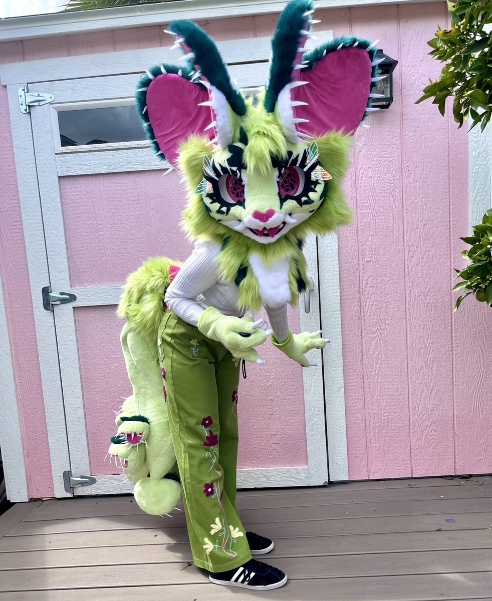 🌼Gold Flower🌼 tweet media