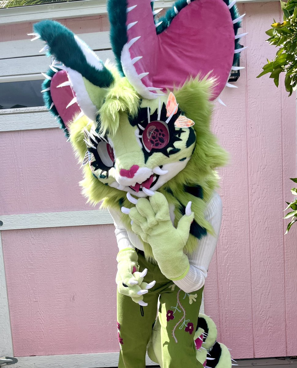 🌼Gold Flower🌼 tweet media