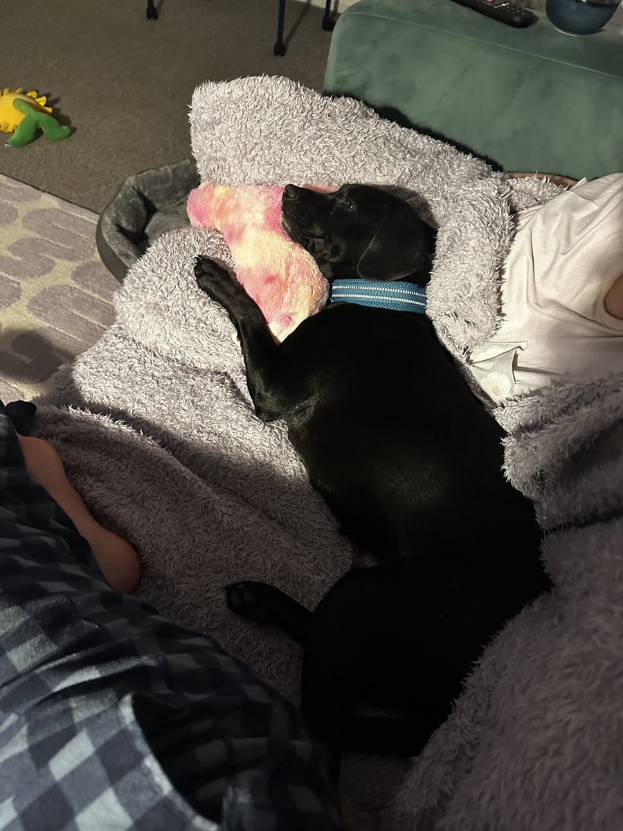 Sam Clark tweet media