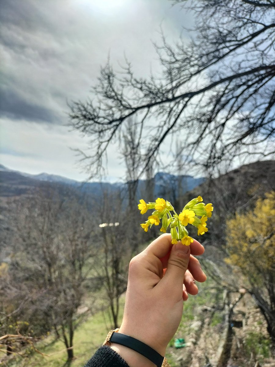 Köyü kucaklayıp getirdim sana,
Kokla açılırsın..🫶🏻🌸
#Memleket