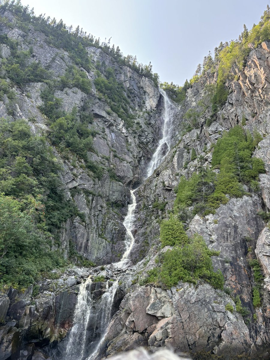 estel 🍅 tweet media