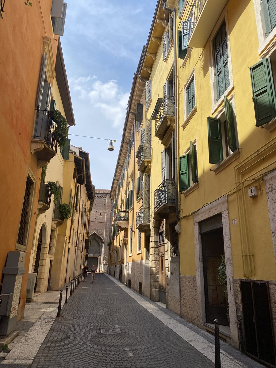 estel 🍅 tweet media