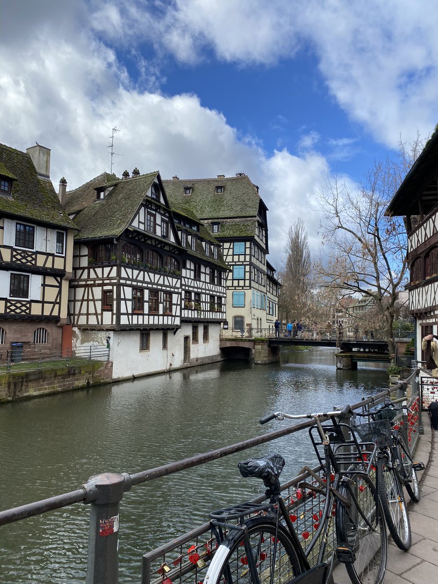 estel 🍅 tweet media