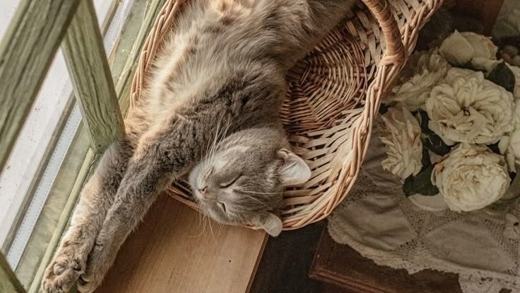 AcademiaDreams's tweet image. Hello April 🌱🐛