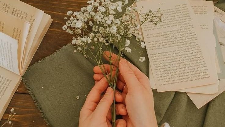 AcademiaDreams's tweet image. Hello April 🌱🐛