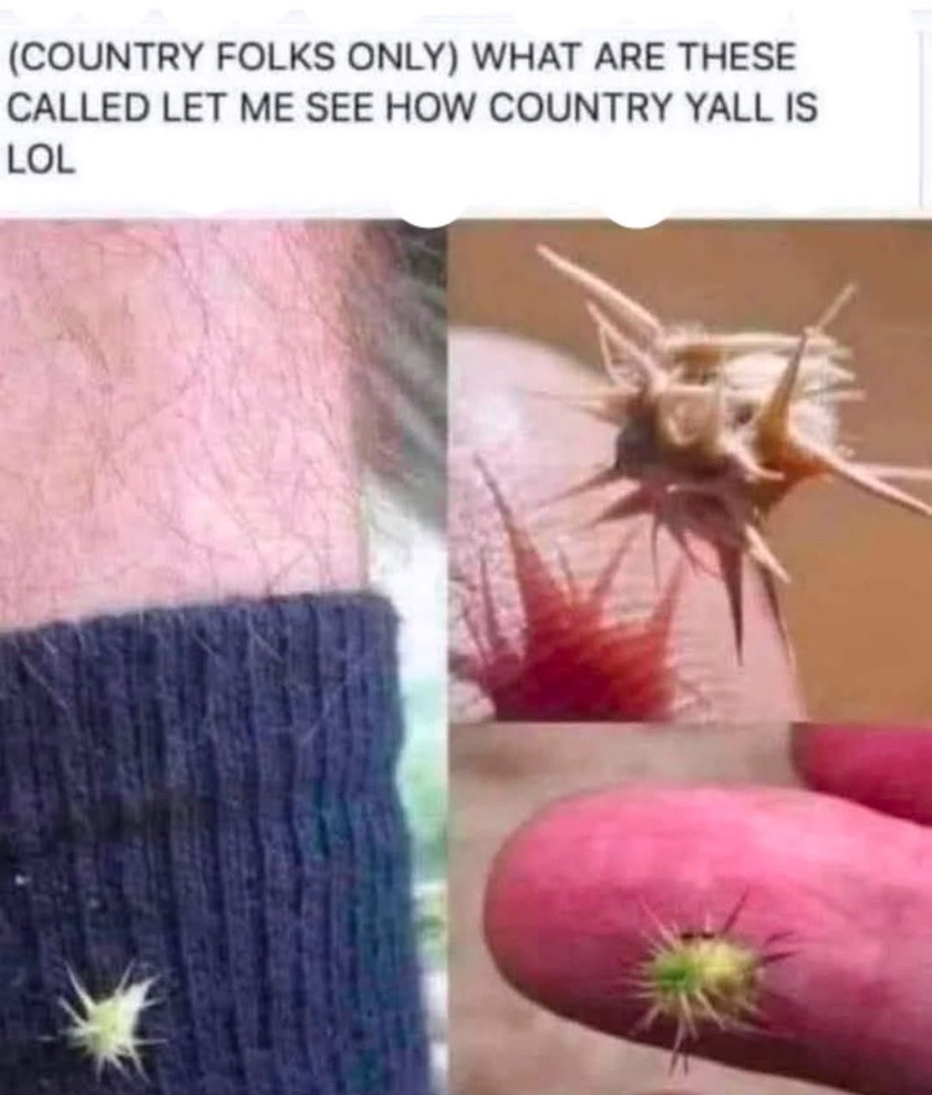 DK🇺🇸🦅🇺🇸 tweet media