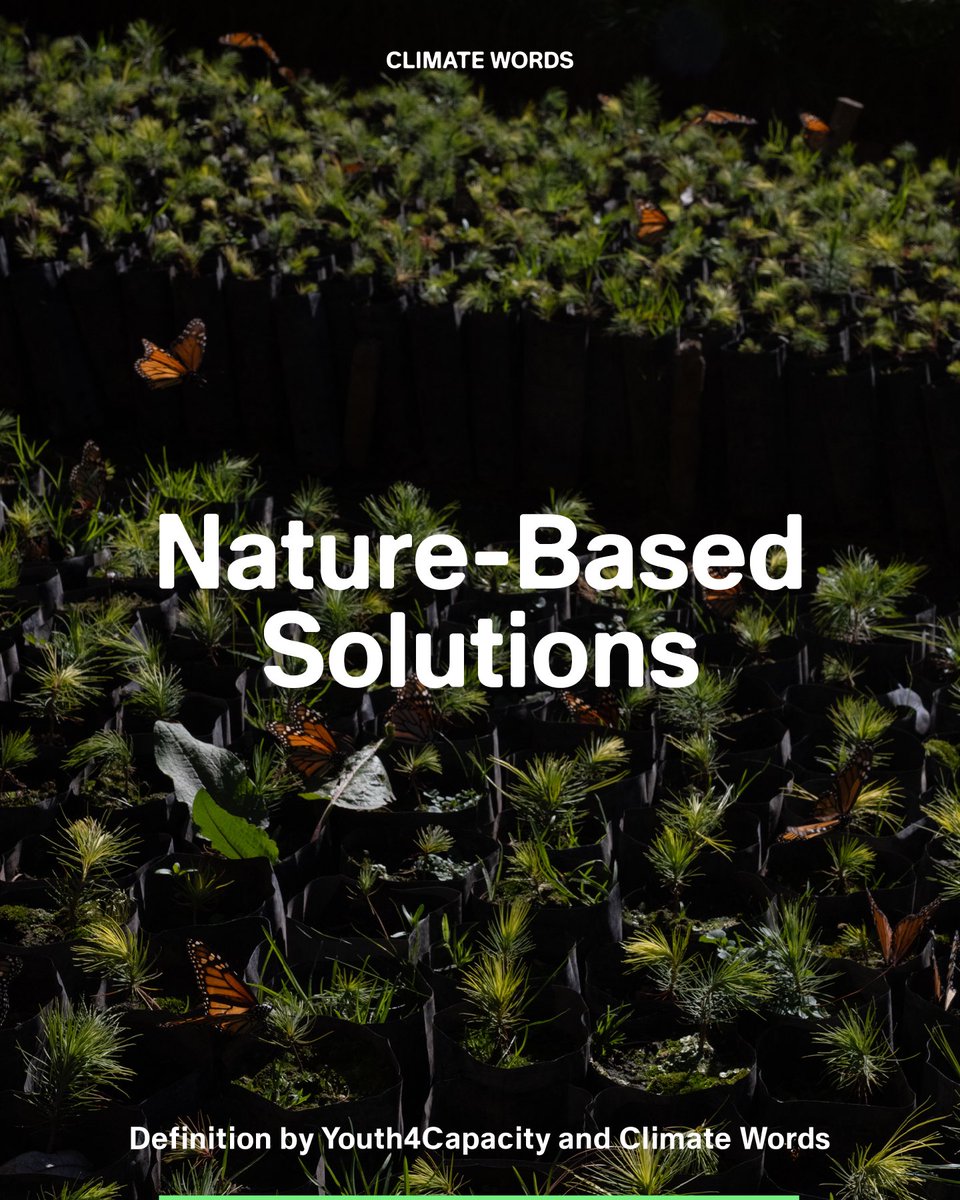 climatewords tweet media