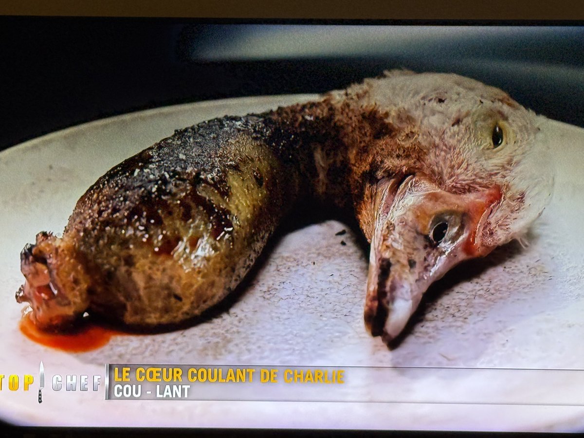 Quand je vois ça, je peux comprendre les végétariens … ces canards sont morts pour rien et en plus le plat est raté… #topchef