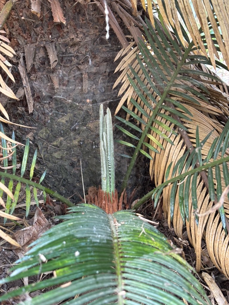 John Roberts tweet media