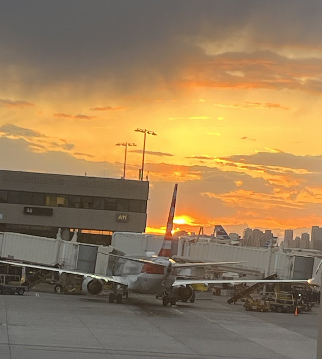 Franklin Sullivan tweet media