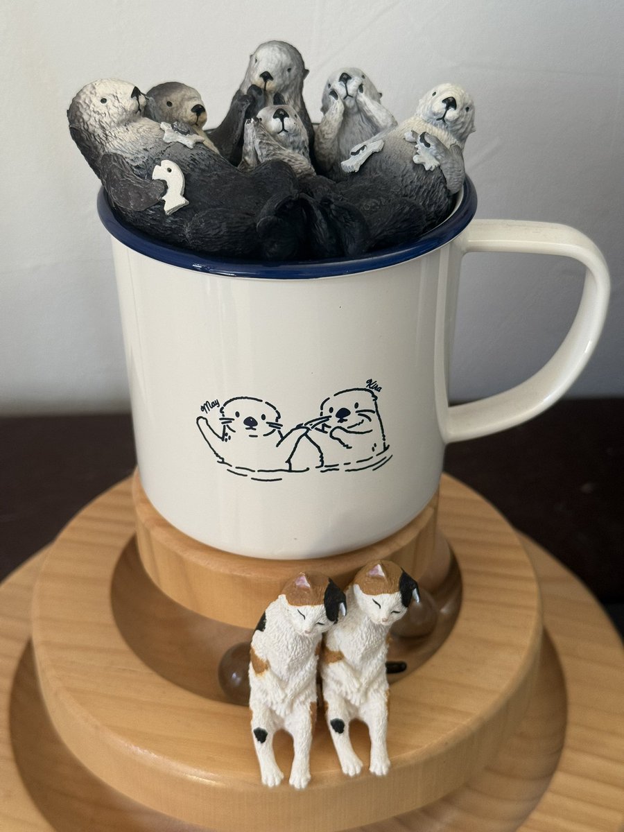 このマグカップのメイちゃんキラちゃんの絵が大好きで、同じデザインで