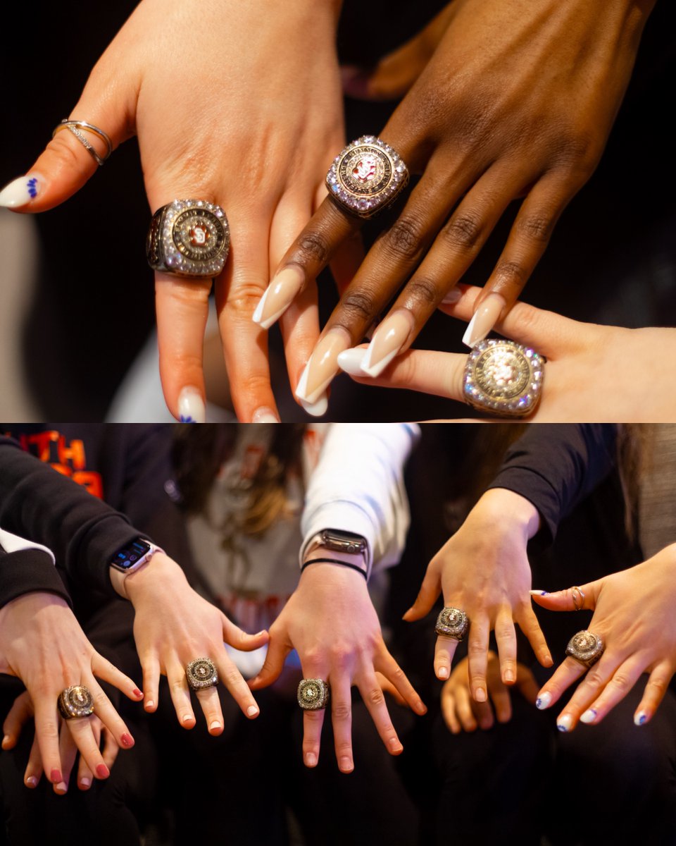 South Dakota Volleyball tweet media