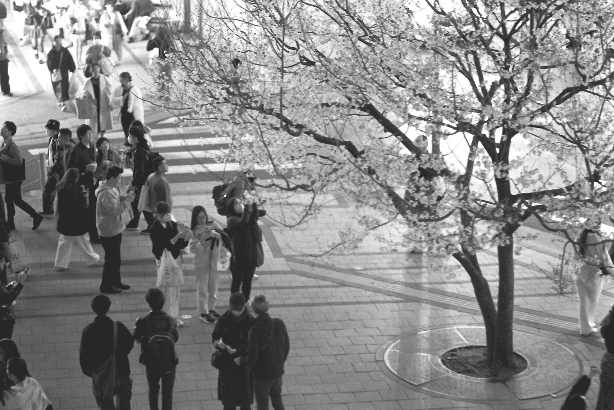 #Canon  #Ilford #HP5
#film #photography