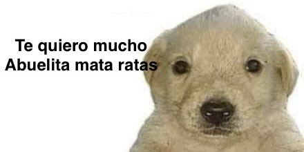 Comienzan los memes de la abuelita! #Abuelita https://t.co/kaW4sa3jVr