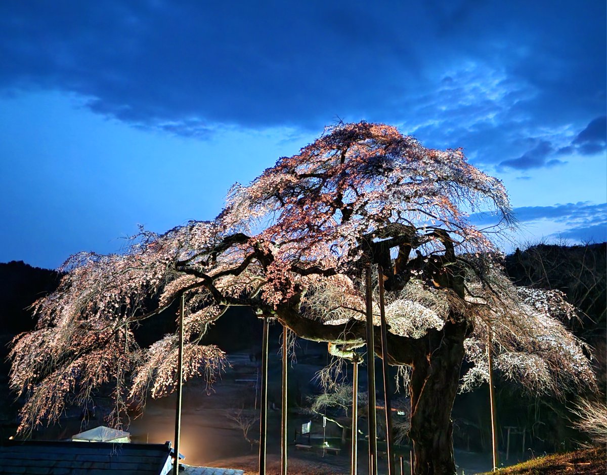 YOZAKURA3ASOBI (@YOZAKURA3ASOBI) / Posts / X