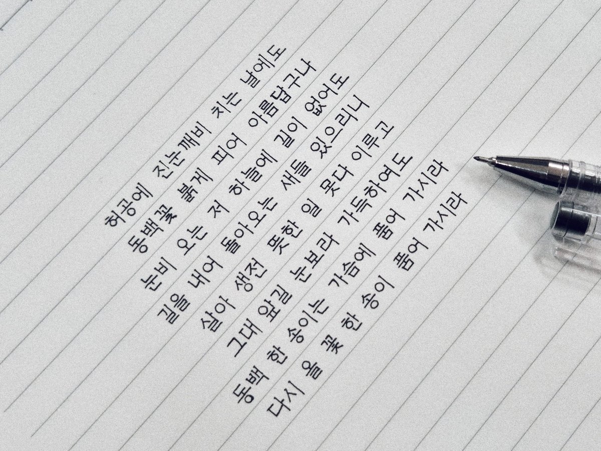 피르사 tweet media