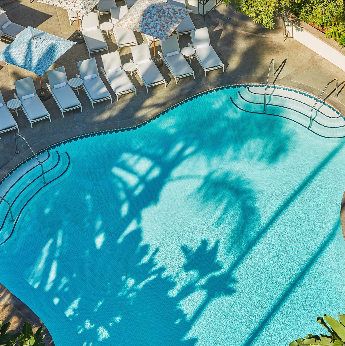 Santa Monica (@gosantamonica) on Twitter photo #PoolSeason is calling!🌊☀️
Pictured: <a href="/FairmontMiramar/">Fairmont Miramar</a> Hotel & Bungalows in #SantaMonica 🏊 #PoolSeason is calling!🌊☀️
Pictured: <a href="/FairmontMiramar/">Fairmont Miramar</a> Hotel & Bungalows in #SantaMonica 🏊