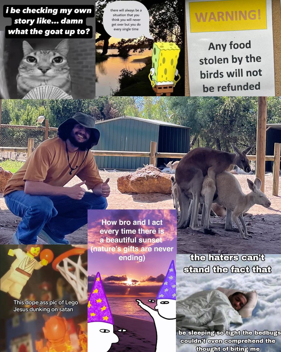 Expand Dong Man tweet media