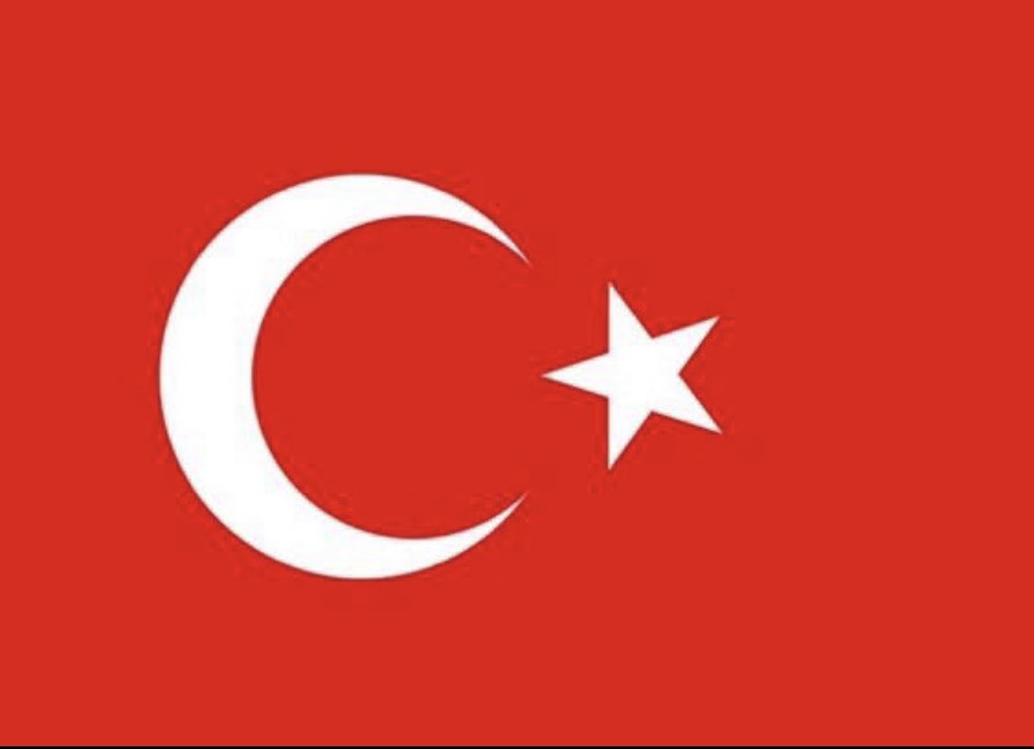 DEVLETİMİN YANINDAYIM